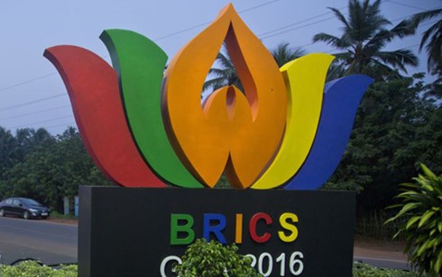 8th BRICS summit opens in India - ảnh 1